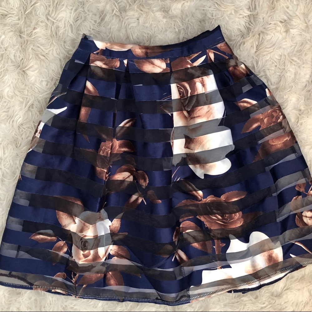Organza Skirt